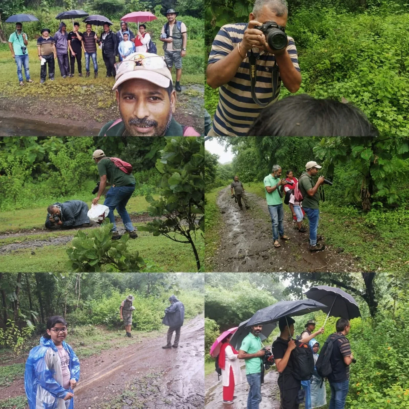 Scenes from community butterfly walks in green landscapes