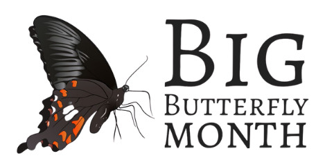 Big Butterfly Month logo