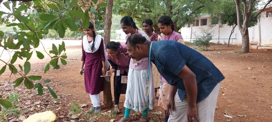 People observing biodiversity together outdoors