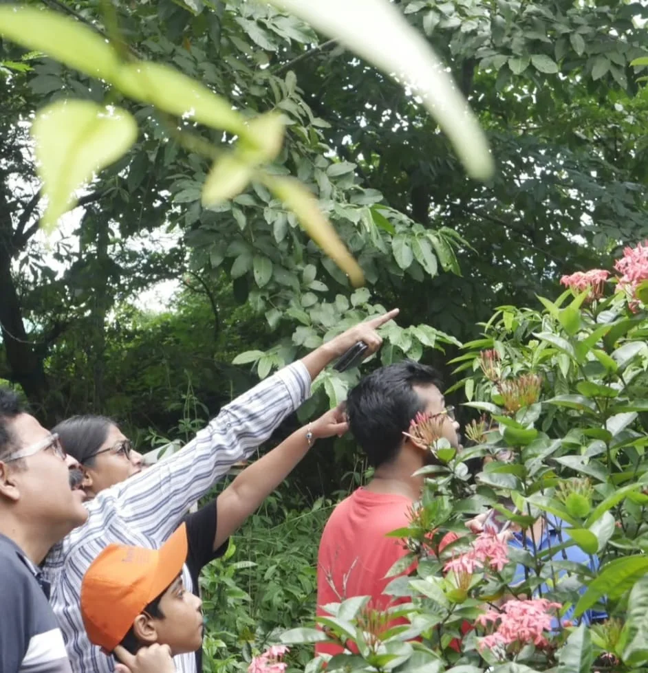 People taking part in an outdoor butterfly activity