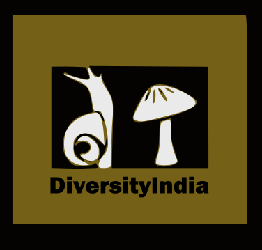 DiversityIndia