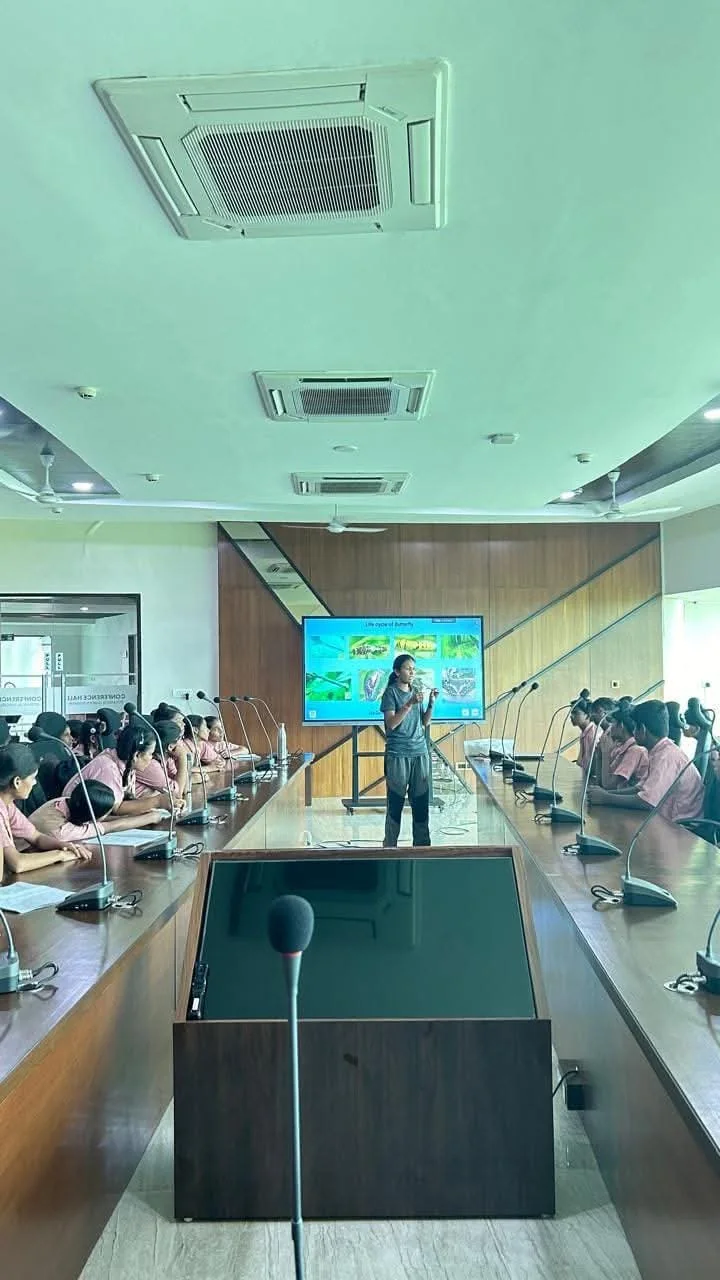A presentation during a butterfly learning session