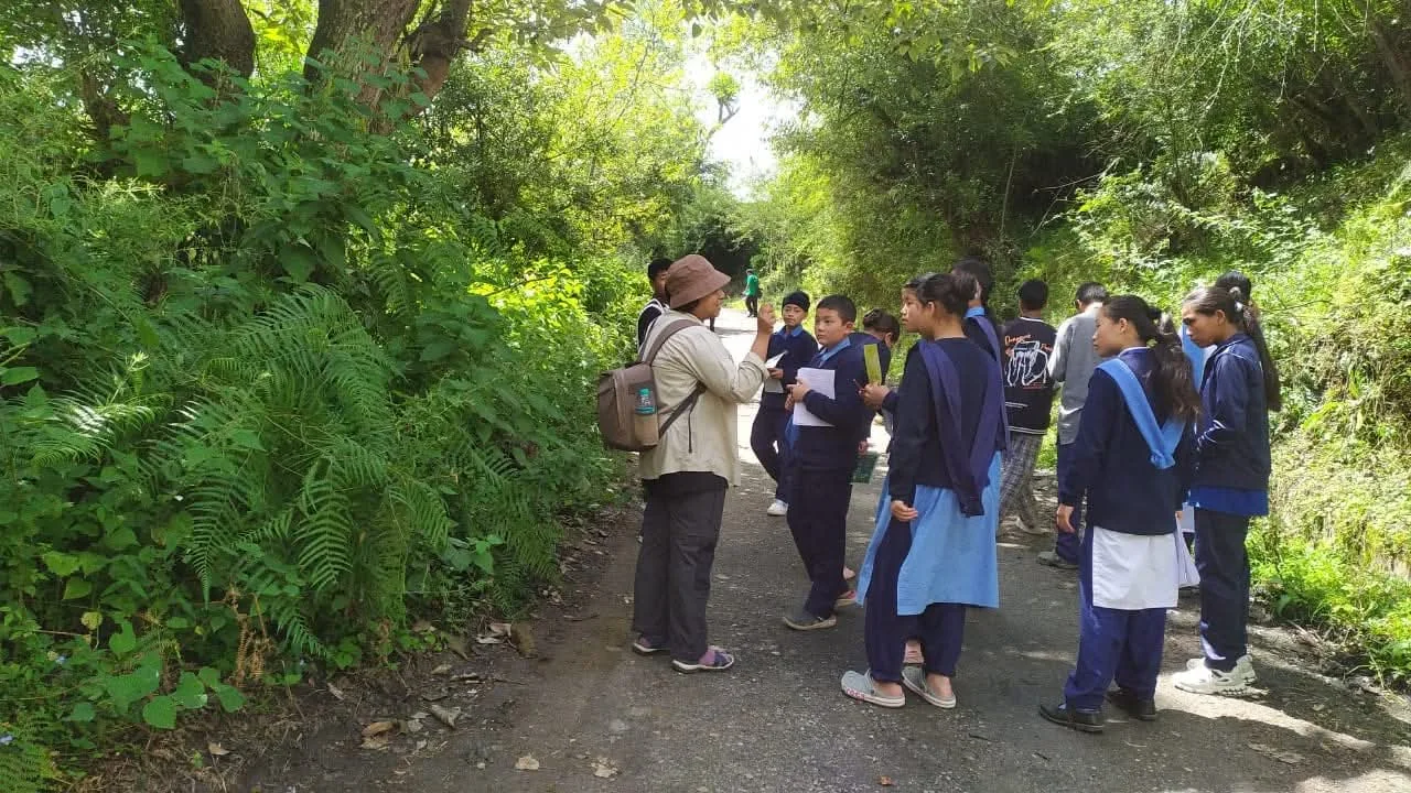A group on a guided butterfly walk in a green landscape